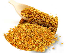 Pólen Apícola Desidratado (Granel 100g)